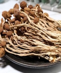 Liberty Caps Shrooms